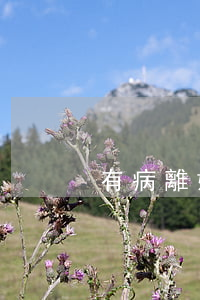 有病離婚了怎么辦