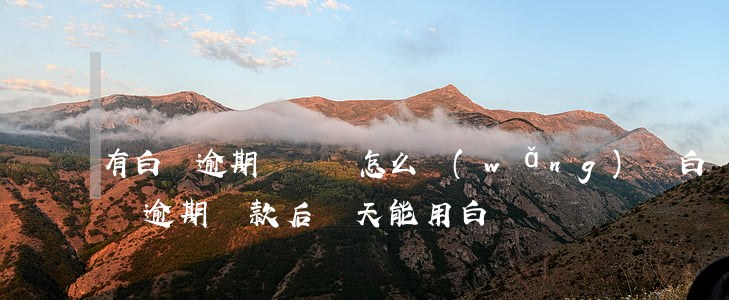 有白條逾期記錄還怎么網(wǎng)貸(白條逾期還款后幾天能用白條)
