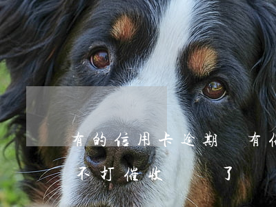 有的信用卡逾期沒有催收(為什么信用卡逾期不打催收電話了)