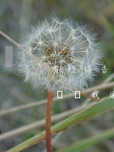 有短信告知我貸款逾期(有個短信發(fā)來說我逾期了)