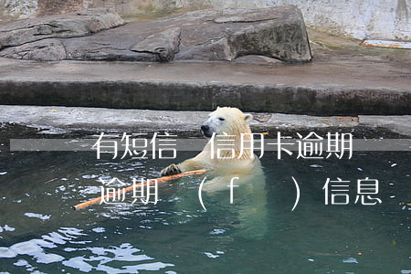 有短信說信用卡逾期凍結(jié)(信用卡逾期發(fā)信息說要凍結(jié)財(cái)產(chǎn))