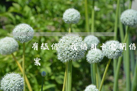 有短信說我信用卡逾期（信用卡逾期對方說立案）