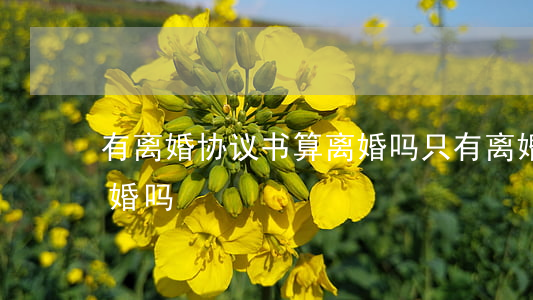 有离婚协议书算离婚吗(只有离婚协议书算离婚吗)