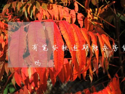 有笔贷款逾期能办房贷吗(我有逾期可以贷款吗)