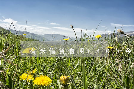 有米借貸逾期1400 今日有米借款