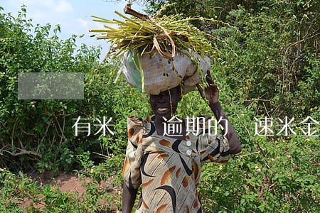 有米樂貸逾期的嗎(速米金融說我嚴重逾期)