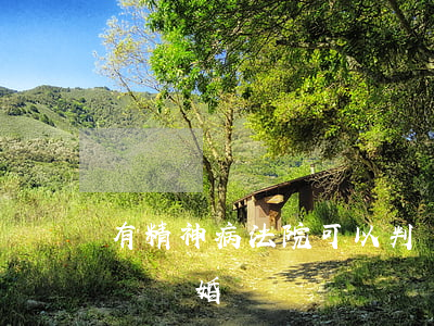 有精神病法院可以判離婚嗎(有精神病可以起訴離婚嗎?)