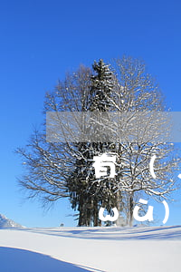 有經(jīng)驗的企業(yè)債務(wù)律師(有經(jīng)驗的企業(yè)債務(wù)律師怎么處理)