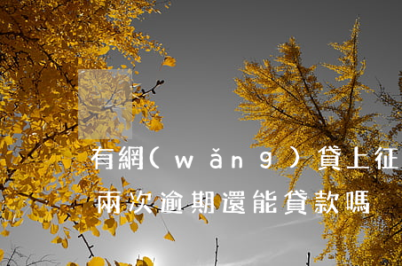 有網(wǎng)貸上征信逾期兩次(征信有兩次逾期還能貸款嗎)