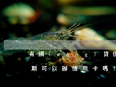 有網(wǎng)貸但是沒(méi)有逾期可以辦信用卡嗎？-有網(wǎng)貸但是沒(méi)有逾期可以辦信用卡嗎