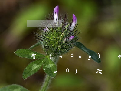 有網(wǎng)貸但是沒有逾期會影響公務(wù)員政審嗎-有網(wǎng)貸但是沒有逾期會影響公務(wù)員政審嗎