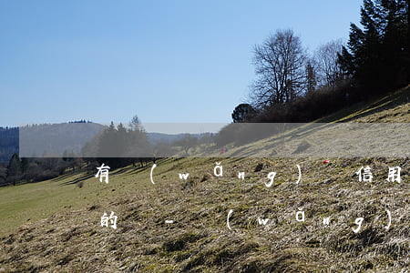 有網(wǎng)貸信用卡逾期收到支付令的嗎-網(wǎng)貸逾期收到支付令怎么辦