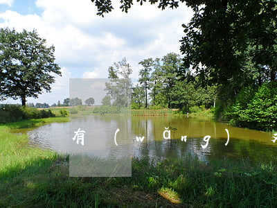 有網(wǎng)貸又信用卡逾期怎么辦