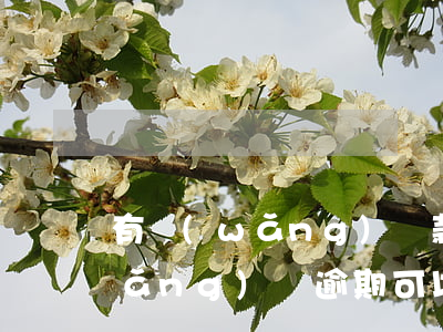 有網(wǎng)貸款逾期能出國嗎(網(wǎng)貸逾期可以出國嗎)