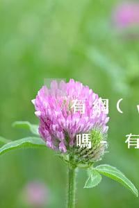 有網(wǎng)貸正常還款中可以坐飛機嗎-有網(wǎng)貸正常還款中可以坐飛機嗎現(xiàn)在