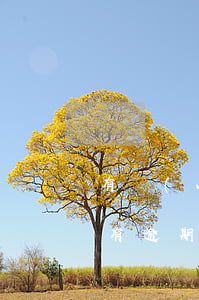 有網(wǎng)貸沒有逾期信用卡(信用卡有逾期可以的網(wǎng)貸)
