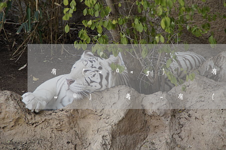 有網(wǎng)貸沒有逾期會影響公務(wù)員考試-有網(wǎng)貸沒有逾期會影響公務(wù)員考試嗎
