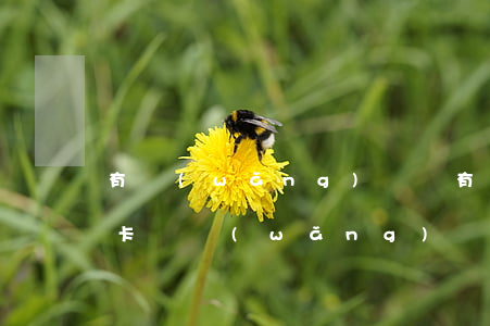 有網(wǎng)貸沒有逾期過可以辦信用卡嗎（網(wǎng)貸沒有逾期會(huì)影響辦信用卡嗎）