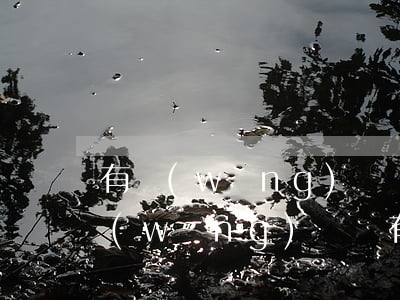 有網(wǎng)貸沒逾期能買房子嗎(有網(wǎng)貸沒有逾期可以貸款買房嗎)