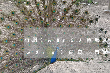 有網(wǎng)貸無逾期影響商貸嗎(網(wǎng)商貸沒有逾期會不會影響銀行貸款)