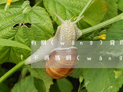 有網(wǎng)貸背調(diào)會通不過嗎（網(wǎng)貸逾期記錄對于背調(diào)）