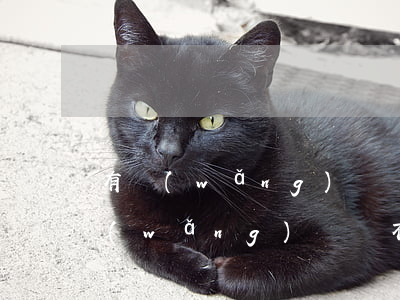 有網(wǎng)貸貸不了款怎么辦(如果網(wǎng)貸貸不了怎么辦)