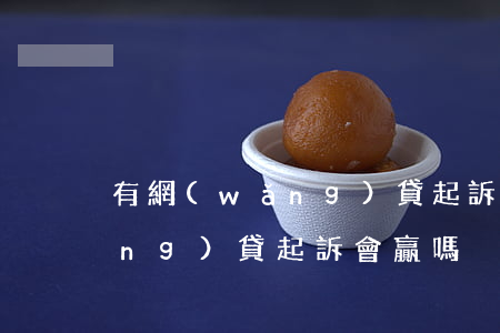 有網(wǎng)貸起訴成功的嗎(網(wǎng)貸起訴會贏嗎)