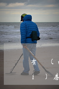 有網(wǎng)貸逾期一天影響買(mǎi)房(網(wǎng)貸逾期會(huì)影響貸款買(mǎi)房嗎)