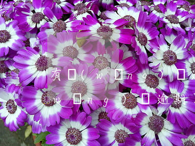 有網(wǎng)貸逾期信用卡好辦嗎(網(wǎng)貸逾期了能辦信用卡嗎)