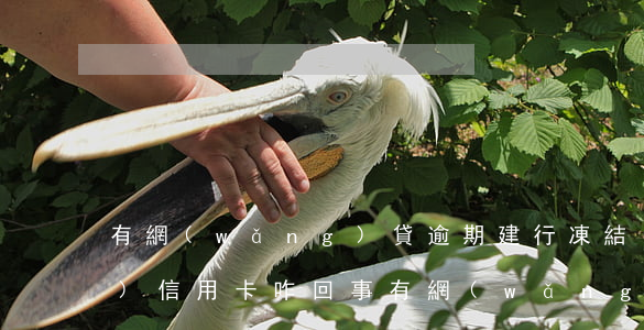 有網(wǎng)貸逾期建行凍結(jié)信用卡咋回事(有網(wǎng)貸逾期建行凍結(jié)信用卡咋回事呀)