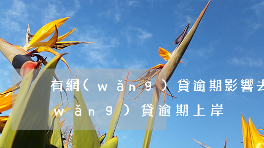 有網(wǎng)貸逾期影響去臺灣嗎(網(wǎng)貸逾期上岸)