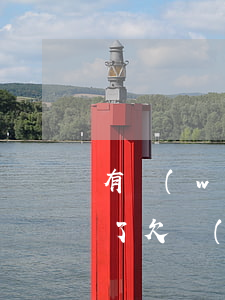 有網(wǎng)貸逾期怎么信用卡被凍結了(欠網(wǎng)貸信用卡被凍結)