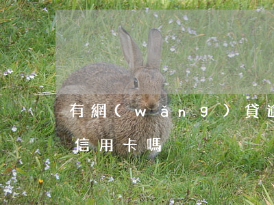 有網(wǎng)貸逾期會(huì)影響信用卡嗎