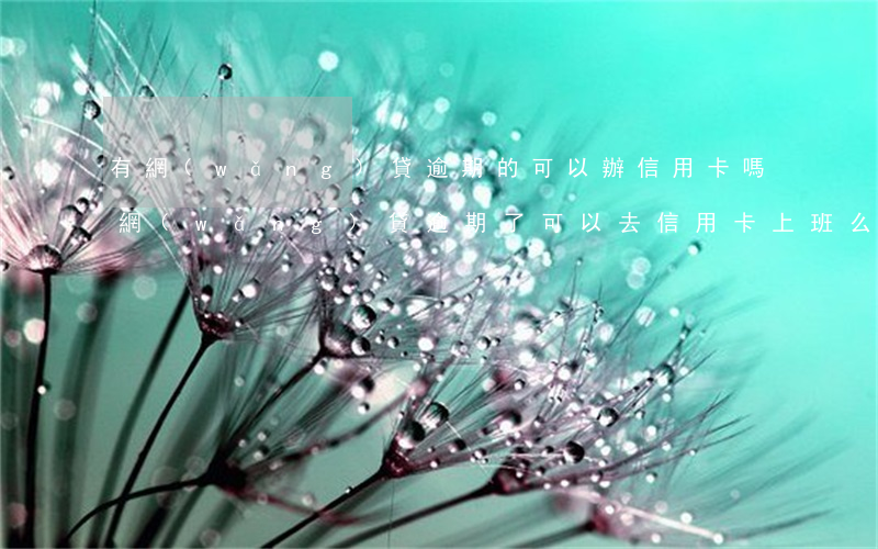 有網(wǎng)貸逾期的可以辦信用卡嗎（網(wǎng)貸逾期了可以去信用卡上班么）
