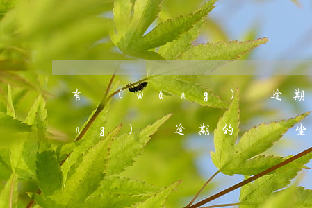 有網(wǎng)貸逾期的嗎-有網(wǎng)貸逾期的嗎會坐牢嗎