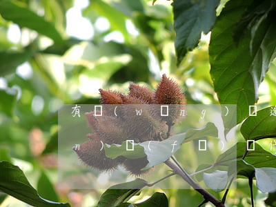 有網(wǎng)貸逾期眾安保險(xiǎn)發(fā)來代償短信-網(wǎng)貸被眾安保險(xiǎn)代償