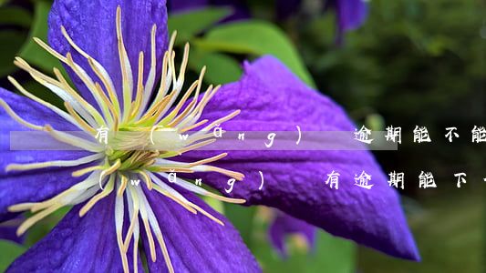有網(wǎng)貸逾期能不能辦信用卡（網(wǎng)貸有逾期能下信用卡嗎）