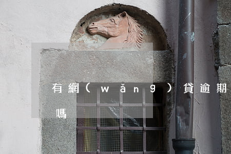 有網(wǎng)貸逾期能出國(guó)嗎?