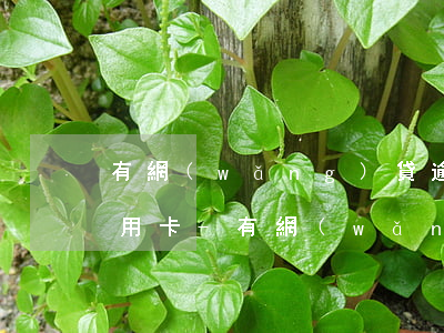 有網(wǎng)貸逾期能申請招商銀行信用卡-有網(wǎng)貸逾期可以辦理信用卡嗎