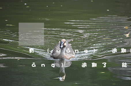 有網(wǎng)貸逾期能貸別的嗎(網(wǎng)貸逾期了還能網(wǎng)貸嗎)