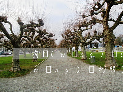 有網(wǎng)貸逾期能開戶炒股嗎(網(wǎng)貸炒股會被發(fā)現(xiàn)嗎)