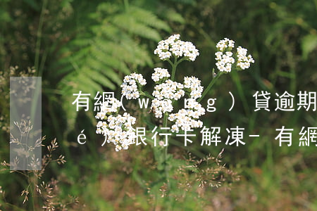 有網(wǎng)貸逾期被法院凍結(jié)銀行卡解凍-有網(wǎng)貸逾期被法院凍結(jié)銀行卡解凍需要多久