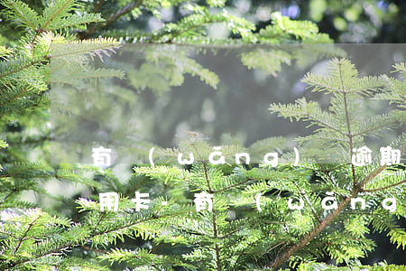 有網(wǎng)貸逾期記錄多久可以辦信用卡-有網(wǎng)貸逾期記錄多久可以辦信用卡呢
