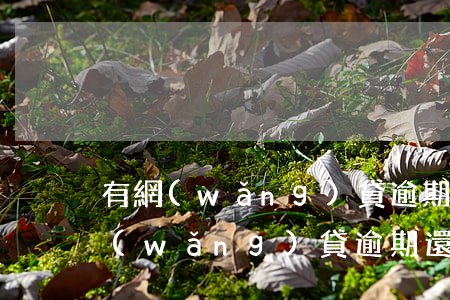 有網(wǎng)貸逾期還可以房貸嘛(有網(wǎng)貸逾期還可以房貸嘛)