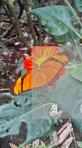 有網(wǎng)貸逾期還可以辦銀行卡嗎（網(wǎng)貸有過(guò)逾期可以辦儲(chǔ)蓄銀行卡嗎）