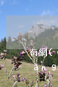 有網(wǎng)貸逾期還有下款的(當(dāng)前有逾期還可以借的網(wǎng)貸有沒有?)