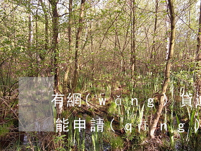 有網(wǎng)貸逾期還能辦貸款嗎(逾期能申請(qǐng)下來(lái)的網(wǎng)貸)