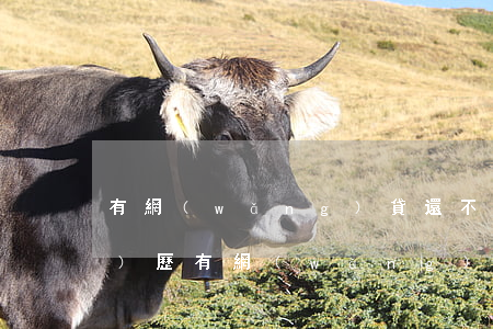 有網(wǎng)貸還不起的經(jīng)歷(有網(wǎng)貸不還錢的經(jīng)歷嗎 最后結果如何)