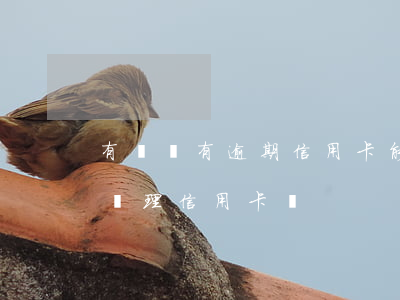 有網貸有逾期信用卡能辦嗎(有網貸逾期可以辦理信用卡嗎)