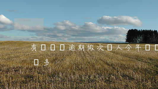 有網貸沒逾期做次貸人(今年網貸逾期的人特別多)